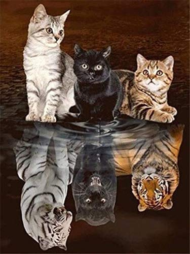 Kreuzstich-Set, gestempelt, OWN4B Katzen oder Tiger, bedrucktes Muster, 11 Karat, 36,1 x 46 cm von OWN4B