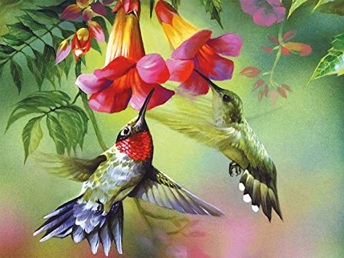 OWN4B Kreuzstich-Set, geprägt, Kolibri und Blumen, gedrucktes Muster, 11 CT, 36,1 x 46 cm, DIY-Stickset, Kolibri) von OWN4B