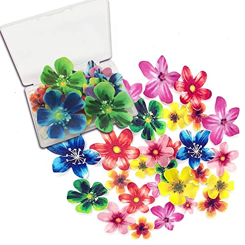 33Pcs Essbare Blumen Cupcake Topper,Blumen Party Kuchen Dekorationen,Tortendeko geburtstagstorte dekoration,Oblatenpapier-Schmetterlings-Kuchen-Dekorationen für Kuchendekoration,Hochzeit,Babyparty 33Pcs Essbare Blumen Cupcake Topper,Blumen Party Kuchen Dekorationen,Tortendeko geburtstagstorte dekoration,Oblatenpapier-Schmetterlings-Kuchen-Dekorationen für Kuchendekoration,Hochzeit,Babyparty von OWOAOOwl