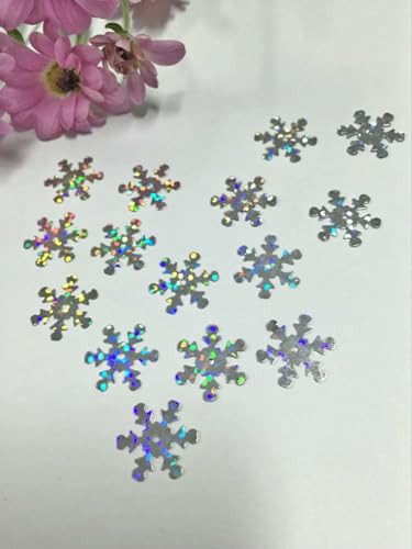 1100 teile/los 15mm Schneeflocke PVC Pailletten Mit 1 Mittelloch DIY Kleidung Navidad Ornamente Silber Hologramm-Standard 1100 teile/los 15mm Schneeflocke PVC Pailletten Mit 1 Mittelloch DIY Kleidung Navidad Ornamente Silber Hologramm-Standard von OXFYY