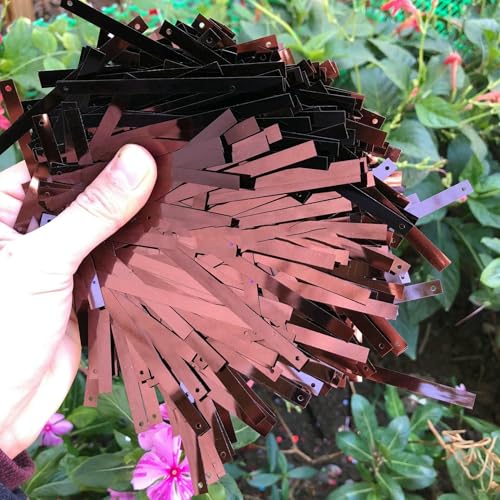 5 x 75 mm rechteckige Streifen-Pailletten für dekorative Kleidung, Mäntel, Taschen, modische Kleidungsstücke, DIY, rechteckige Pailletten, Kaffee, 500 g 5 x 75 mm rechteckige Streifen-Pailletten für dekorative Kleidung, Mäntel, Taschen, modische Kleidungsstücke, DIY, rechteckige Pailletten, Kaffee, 500 g von OXFYY