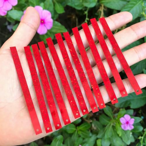 5 x 75 mm rechteckige Streifen-Pailletten für dekorative Kleidung, Mäntel, Taschen, modische Kleidungsstücke, DIY, rechteckige Pailletten, Laserrot, 1000 g 5 x 75 mm rechteckige Streifen-Pailletten für dekorative Kleidung, Mäntel, Taschen, modische Kleidungsstücke, DIY, rechteckige Pailletten, Laserrot, 1000 g von OXFYY