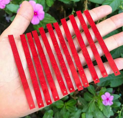 PET Umweltfreundlich 5 * 75 mm Gold Silber Rot Schwarz Blau Meerjungfrau Quaste Show Kleidung Rechteck Lang 1-Loch Hochzeitspailletten-holografisches Rot PET Umweltfreundlich 5 * 75 mm Gold Silber Rot Schwarz Blau Meerjungfrau Quaste Show Kleidung Rechteck Lang 1-Loch Hochzeitspailletten-holografisches Rot von OXFYY