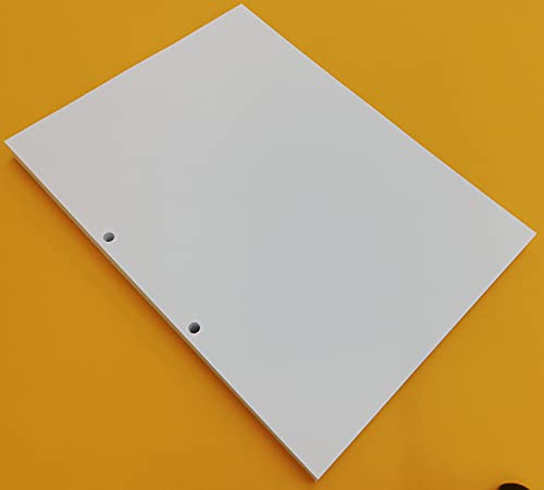 100 Blatt (200 Seiten) dickes, weißes Papier 120 g/m² mit 2 Löchern Abstand 8 cm. - DIN A4 21 x 29,2 cm, für große Ordner A4 mit 2 Ringen von OY OY