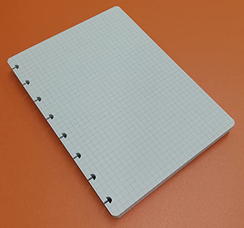 Refills Inserts for disc bound planer Nachfüllpackung 100 Blatt (200 Seiten) T-förmige Löcher - DIN A5 14,5 x 20,5 cm, kariert 5 mm. von OY