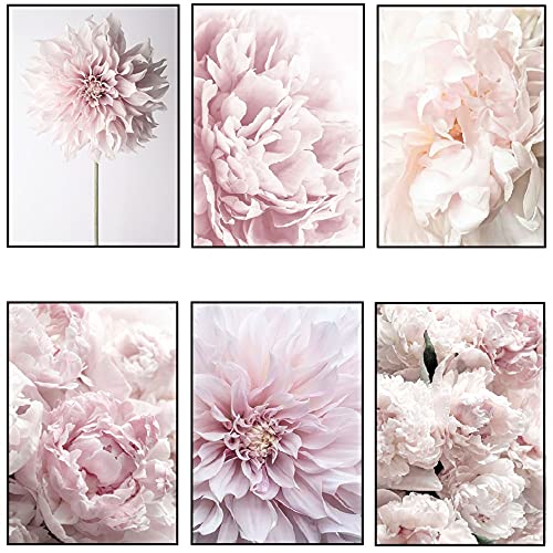 OYFFL Set 6 Kunst Moderne Aquarell Blumen Ölgemälde auf Leinwand Poster und Drucke Rosa Pfingstrose Wandkunst Bild für Wohnzimmer Dekor (20 * 30cm) von OYFFL
