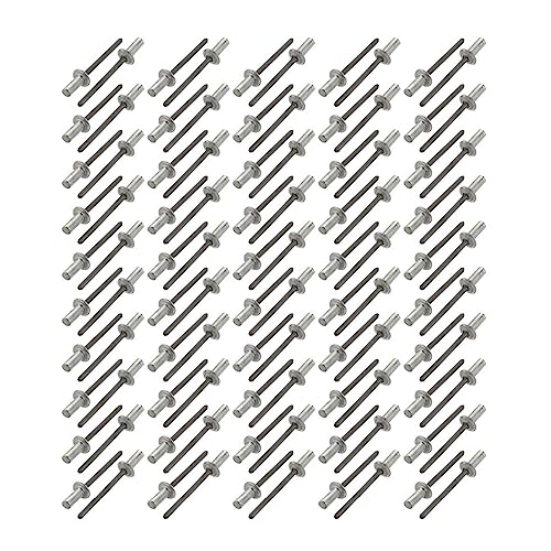 OZLIYY 100 stücke 4x8mm/10mm/13mm/16mm Blindniete Aluminium Runde Dome Kopf Geschlossen Ende Nieten Verschluss for Möbel Auto Flugzeug(16mm) von OZLIYY