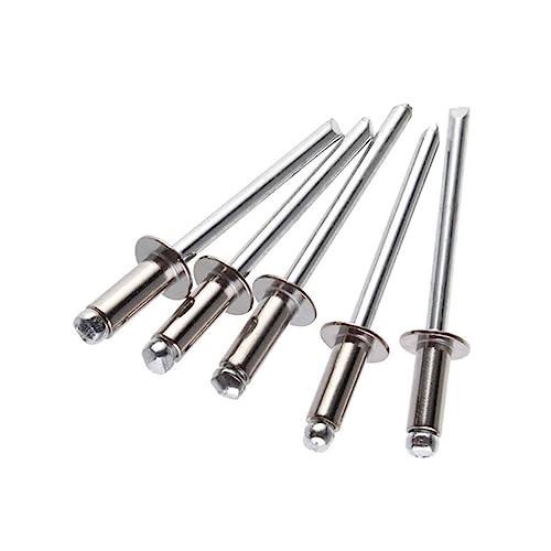 OZLIYY 100 stücke M5 Edelstahl Blindnieten Dekorieren Niet Falten Typ Größe(10mm) von OZLIYY