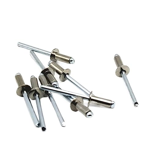 OZLIYY M4.8 GB12618 304 Edelstahl Rund Pilzkopf Bruchdorn Blindniet Nagel Pop Nieten for Auto Maschine(M4.8x11 20Pcs) von OZLIYY