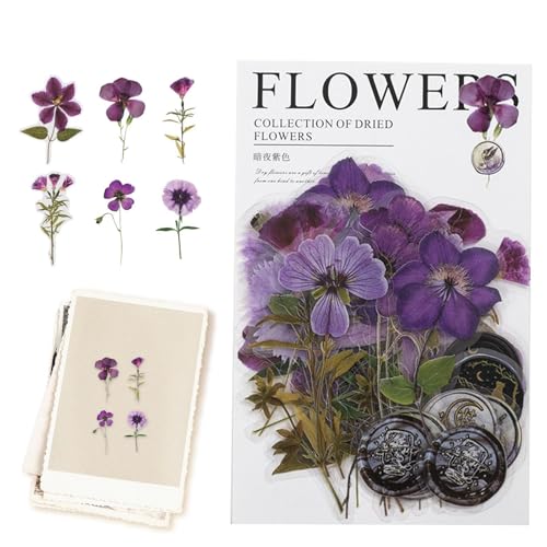 Aufkleber für getrocknete Blumen, Scrapbook-Aufkleber, botanische Aufkleber, wasserfest, botanische Tagebuch-Aufkleber, Pflanzenaufkleber für Scrapbook-Zubehör, Kunst, Handwerk, Reise Aufkleber für getrocknete Blumen, Scrapbook-Aufkleber, botanische Aufkleber, wasserfest, botanische Tagebuch-Aufkleber, Pflanzenaufkleber für Scrapbook-Zubehör, Kunst, Handwerk, Reise von Obesntln