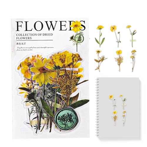 Aufkleber für getrocknete Blumen – pflanzliche Abziehbilder, wasserdichte Aufkleber | Kunstaufkleber mit getrockneten Blumen für Bastelbedarf und Bastelarbeiten von Scrapbooking, Botani-Aufkleber von Obesntln