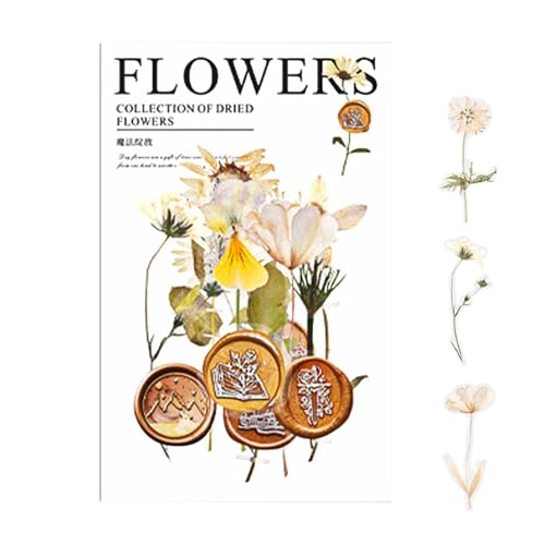 Getrocknete Blumenaufkleber – Pflanzenaufkleber, wasserdichte Aufkleber | getrocknete -Kunstaufkleber für Scrapbooking-Zubehör & Handwerk, Botani-Aufkleber von Obesntln