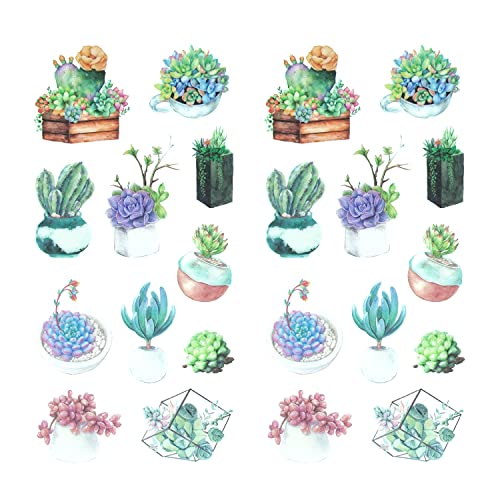 Oblique Unique® Blumen Sticker Pflanzen Blätter Aufkleber Vintage Kakteen Wildblumen Küche Dekoration Scrapbooking Kinder Basteln (Vintage Kakteen) von Oblique Unique