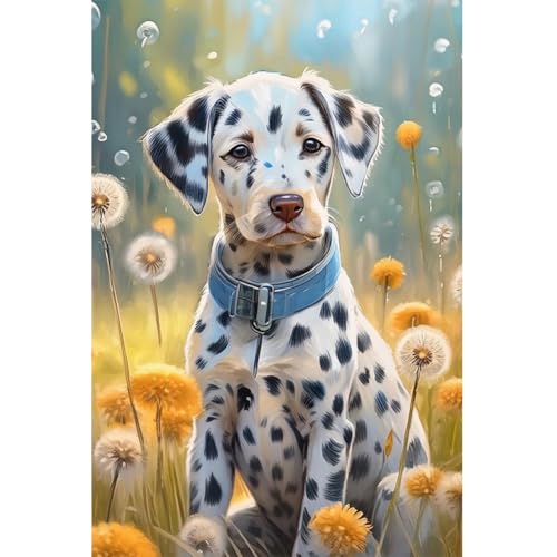 Ocuuer 5D DIY Full Round Drill Dalmatian Kit Home Decor Art 40x60 cm (BJ1084) von Ocuuer