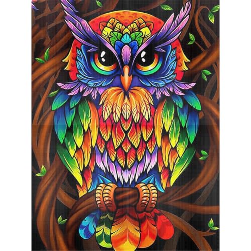 Ocuuer Eule Print Cross Stitch Kit 36x46cm DIY 11CT Stickerei Bastel Set Home Decor (2) von Ocuuer