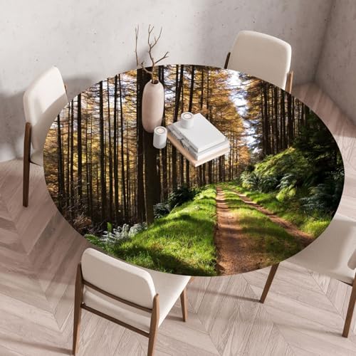 Odot Elastische Tischdecke Rund Ourdoor Abwaschbar, 3D Grüne Natur Tischdecke Wasserdicht Schmutzabweisend Gartentischdecken Abwischbar Tischtuch Tischschutz für Partys Kaffee (Wald,90cm) von Odot