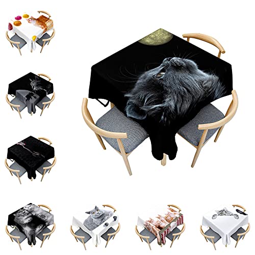 Odot Katze Tischdecke Quadratisch Wasserdicht Polyester, Pflegeleicht Fleckschutz Abwaschbar 3D-Katzendruck Rechteckig Tischdecke für Home Küche Couchtisch Dekoration (120x120cm,Mondkatze) von Odot