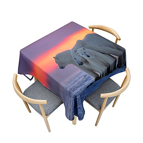 Odot Tischdecke Quadratisch Wasserdicht Polyester, Pflegeleicht Fleckschutz Abwaschbar 3D-Eisbärendruck Rechteckig Tischdecke für Home Küche Dekoration (60x60cm,Nordlichter) von Odot