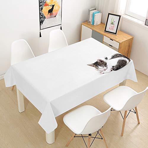 Oduo Tischdecke Wasserdicht Polyester Rechteckig, 3D-Katze Bedruckte Tischdecke Pflegeleicht Fleckschutz Ölfest Abwaschbar Outdoor Garten Deko Farbe & Größe Wählbar (Weiß,90x90cm) von Oduo