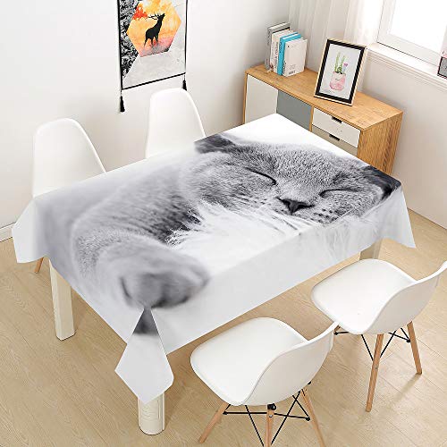 Oduo Tischdecke Wasserdicht Polyester Rechteckig, 3D-Katze Bedruckte Tischdecke Pflegeleicht Fleckschutz Ölfest Abwaschbar Outdoor Garten Deko Farbe & Größe Wählbar (hellgrau,140x160cm) von Oduo