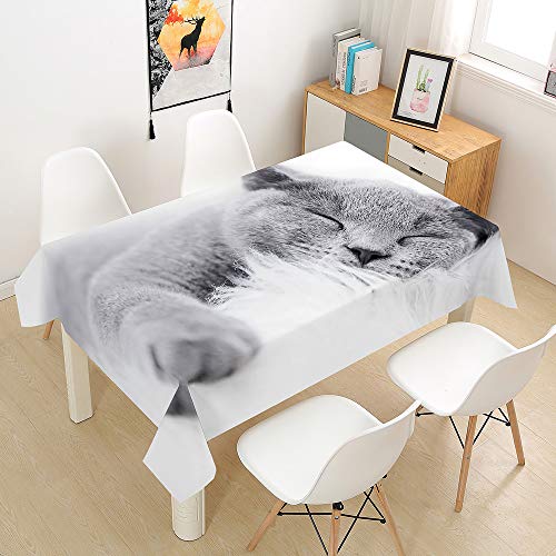 Oduo Tischdecke Wasserdicht Polyester Rechteckig, 3D-Katze Bedruckte Tischdecke Pflegeleicht Fleckschutz Ölfest Abwaschbar Outdoor Garten Deko Farbe & Größe Wählbar (hellgrau,140x220cm) von Oduo