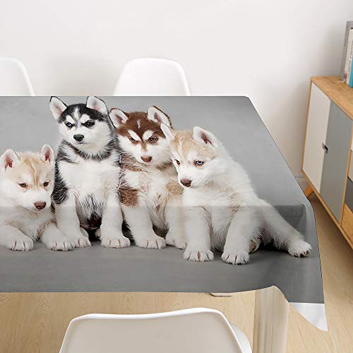 Oduo Tischdecke Wasserdicht Polyester Rechteckig, Tischdecke mit 3D Hundedruck Pflegeleicht Fleckschutz Ölfest Abwaschbar Outdoor Garten Deko (Baby Husky,140x160cm) von Oduo