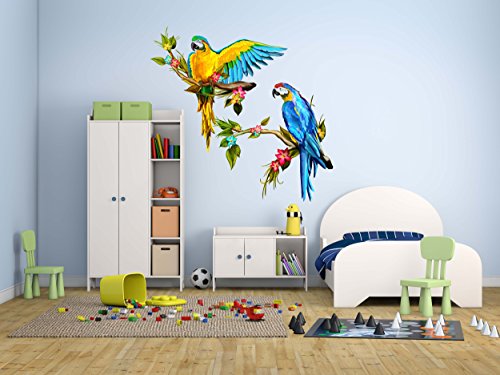 Wandtattoo, 3D-Papageien, verschiedene Größen, 155 x 155 cm, starker und einfacher Anbringung, mehrfarbig, dekorativer Aufkleber mit elegantem Design von Oedim