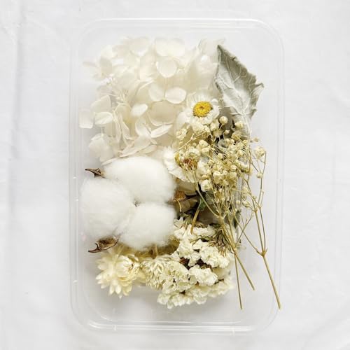 Oenothera 4 Boxen Echte Natürliche Getrocknete Blumen, DIY Natürliche Getrocknet Blumen, Blüten Trockenblumen, für Epoxidharz Oder Wohndekoration（Weiß, Zufällige Blumen） von Oenothera