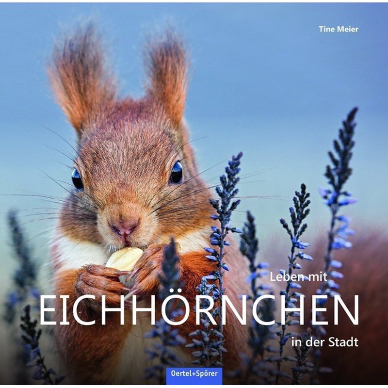 Leben Mit Eichhörnchen In Der Stadt - Tine Meier, Gebunden von Oertel & Spörer