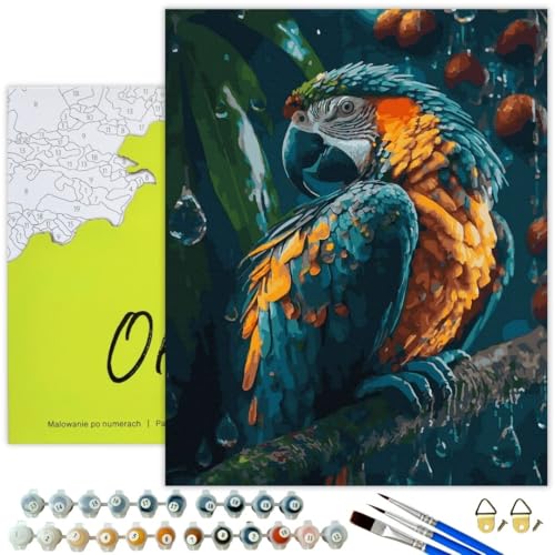 Oh Art! Malen Nach Zahlen Erwachsene Set Mit 3 Pinseln Und Acrylfarben Gemälde Acrylic Malerei DIY Leinwand 40 x 50 cm Schöner Papagei Oh Art! Malen Nach Zahlen Erwachsene Set Mit 3 Pinseln Und Acrylfarben Gemälde Acrylic Malerei DIY Leinwand 40 x 50 cm Schöner Papagei von Oh Art!