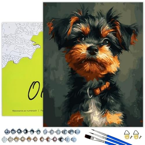 Oh Art! Malen Nach Zahlen für Kinder Anfänger Set Mit 3 Pinseln Acrylfarben Und Leinwand Gespannt Auf Holzrahmen Paint By Numbers DIY Bastelset 40 x 50 cm Mit Rahmen Yorkshire Terrier Oh Art! Malen Nach Zahlen für Kinder Anfänger Set Mit 3 Pinseln Acrylfarben Und Leinwand Gespannt Auf Holzrahmen Paint By Numbers DIY Bastelset 40 x 50 cm Mit Rahmen Yorkshire Terrier von Oh Art!