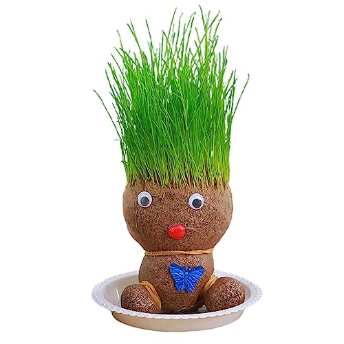 Oldmoom Graskopf-Puppenpflanze, Desktop-Grünpflanzen im Topf für Kinder mit Tablett, Puppenkopf Überpflanzung, Topfpflanzen für Kinder, grüne Desktop-Pflanzen von Oldmoom