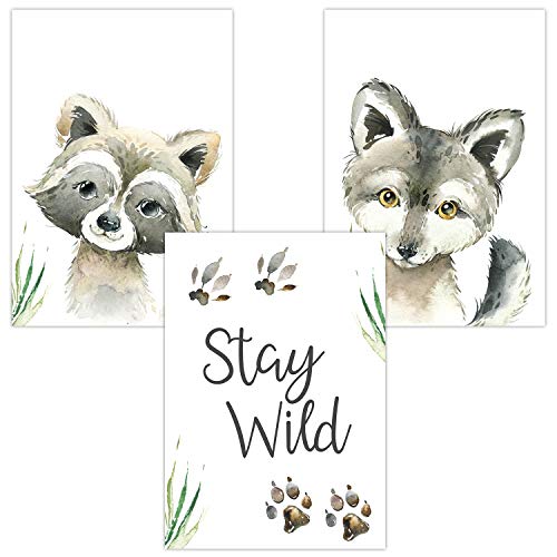 Olgs Poster Bilder 3er Set | Kinderzimmer Deko Wandbilder | Mädchen Junge Wandposter DIN A4 | Wanddeko für Babyzimmer | Waldtiere Stay Wild Waschbär Wolf von Olgs