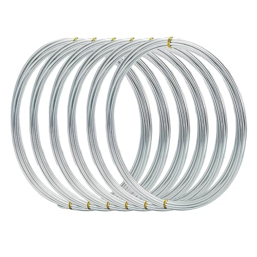 Omeblos Aluminium-Basteldraht, 6 Stück, silberfarben, 5 m, 1 mm, biegbar, Metall-Basteldraht für Modellierung, DIY-Schmuckherstellung, Puppenherstellung, Modellierung und Bonsai-Training Omeblos Aluminium-Basteldraht, 6 Stück, silberfarben, 5 m, 1 mm, biegbar, Metall-Basteldraht für Modellierung, DIY-Schmuckherstellung, Puppenherstellung, Modellierung und Bonsai-Training von Omeblos