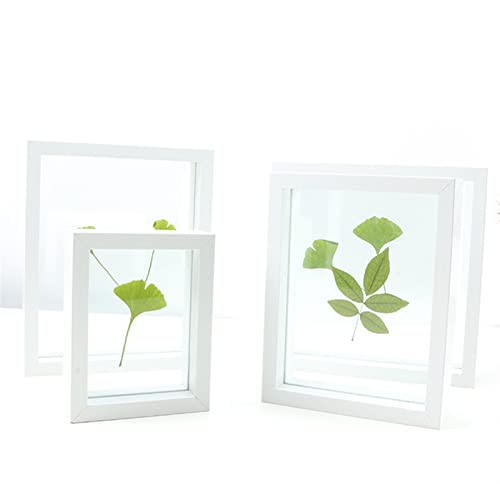 Ommda Bilderrahmen Doppelglas aus MDF-Holz, Freistehende Bilderrahmen, Musterrahmen für Trockenblumen im Hochformat, Weiß, 10x15cm / 4"x6" von Ommda