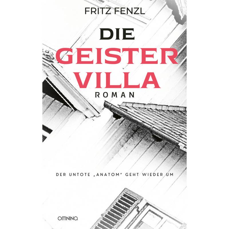 Die Geistervilla - Fritz Fenzl, Kartoniert (TB) von Omnino Verlag