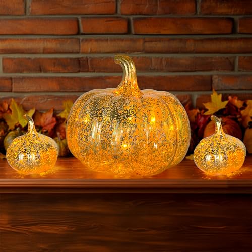 Oneshlee 3 Stück Herbst Deko Kürbis Laterne Mit LED, Herbstdeko Innen Tisch, Galvanische Kürbis Deko, Halloween Deko Kürbis Beleuchtet, Herbstdeko Kürbis Für Erntedankfest Halloween Weihnachten Oneshlee 3 Stück Herbst Deko Kürbis Laterne Mit LED, Herbstdeko Innen Tisch, Galvanische Kürbis Deko, Halloween Deko Kürbis Beleuchtet, Herbstdeko Kürbis Für Erntedankfest Halloween Weihnachten von Oneshlee