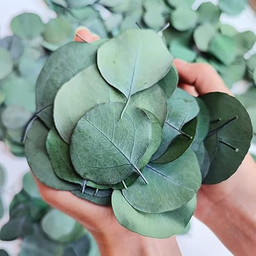 Oning 300+ Eukalyptus Blätter Konfetti für JGA, Echte Silberdollar Eukalyptus Getrocknet, beschneidbar Eukalyptusblätter Trockenblumen für Hochzeit Dekoration Baby Shower DIY (green, L) von Oning