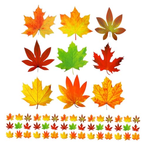 Operitacx 135 Stück Teiliges Ahornblatt Papier mit Farben Basteldekoration für Herbst und Thanksgiving Vielseitige Pinnwand Deko für Klassenzimmer Partys DIY Herbstbasteln Klebepunkten Operitacx 135 Stück Teiliges Ahornblatt Papier mit Farben Basteldekoration für Herbst und Thanksgiving Vielseitige Pinnwand Deko für Klassenzimmer Partys DIY Herbstbasteln Klebepunkten von Operitacx