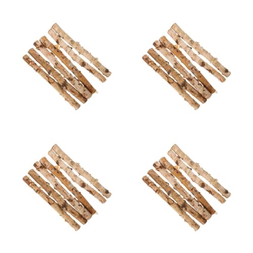 Operitacx 4 Sätze Deko Holzstäbe Birkenholz Trockene Äste Für Diy Bastelprojekte Floristik Und Kreative Arrangements Lange Natürliche Holzstäbe 6 Stück * 4 von Operitacx