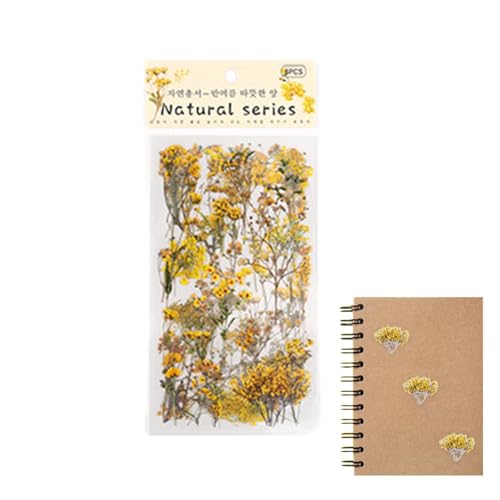 Scrapbooking Mit Blumenaufklebern - Packung mit 6 Stück Aufkleber für Scrapbooking Serie Natur Transparente wasserdichte Aufkleber Pflanzen Blumen Simulation Briefpapier Aufkleber König Scrapbooking Mit Blumenaufklebern - Packung mit 6 Stück Aufkleber für Scrapbooking Serie Natur Transparente wasserdichte Aufkleber Pflanzen Blumen Simulation Briefpapier Aufkleber König von Opilroyn