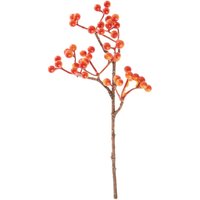 Beeren Pick, Orange von DPI