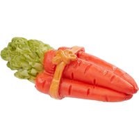 Miniatur Bund Karotten von Orange