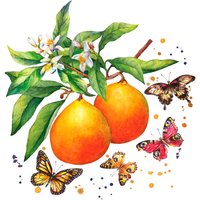 Serviette "Schmetterlinge & Orangen" Serviette "Schmetterlinge & Orangen" von Paper+Design