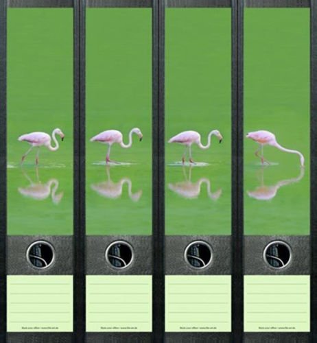 4er Set Ordnerrücken für breite Ordner Flamingo Vogel Zoo Aufkleber Etiketten Deko 069 von Ordnerrücken breit