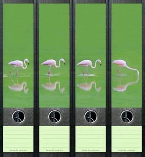 4er Set Ordnerrücken für breite Ordner Flamingo Vogel Zoo Aufkleber Etiketten Deko 069 4er Set Ordnerrücken für breite Ordner Flamingo Vogel Zoo Aufkleber Etiketten Deko 069 von Ordnerrücken breit