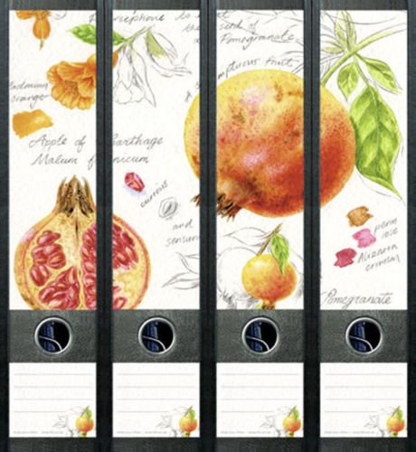 Ordnerrücken breit 4er Set Ordner Granatapfel Apfel Aufkleber Etiketten Deko 428 Ordnerrücken breit 4er Set Ordner Granatapfel Apfel Aufkleber Etiketten Deko 428 von Ordnerrücken breit