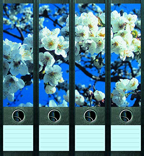 4er Set Ordnerrücken für breite Ordner Kirschblüten Aufkleber Etiketten Deko 020 von Ordnerrücken breit