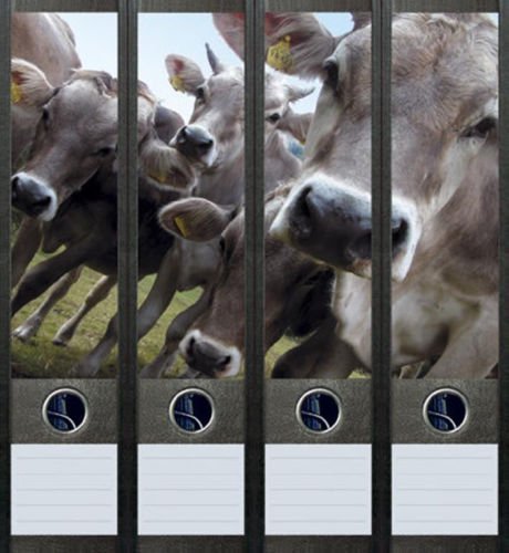 4er Set Ordnerrücken für breite Ordner Kühe Kuh Aufkleber Etiketten Deko 017 von Ordnerrücken breit