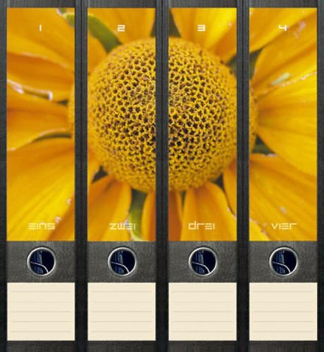 4er Set Ordnerrücken für breite Ordner Sonnenblume Blume Blumen Aufkleber Etiketten Deko 030 von Ordnerrücken breit